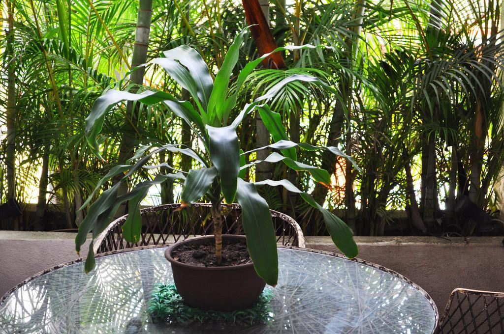 Hotel Hacienda De Vallarta Centro Puerto Vallarta Buitenkant foto